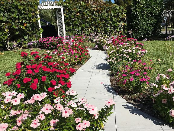 View from front porch