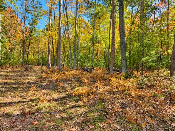 1350 N Saint Helen Rd, Saint Helen, MI 48656