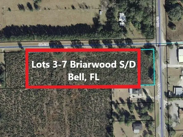 Lot 3-4 NW County Road 236, Bell, FL 32619