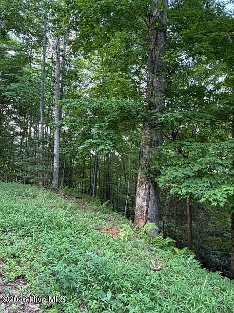 1st image of Lot 59 Quiet Mountain Trail