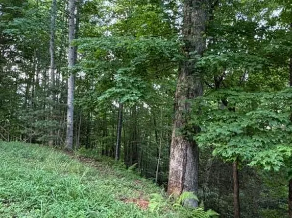 Lot 59 Quiet Mountain Trail, Murphy, NC 28906