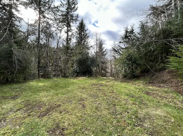 Tl201 Lt Nestucca Rr Hwy, Cloverdale, OR 97112