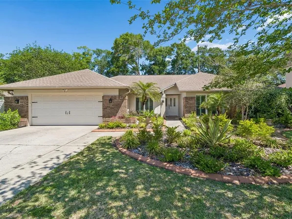 3319 Cheviot Dr, Tampa, FL 33618