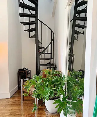 Rented by Stuyvesant Heights Realty Corp | media 20