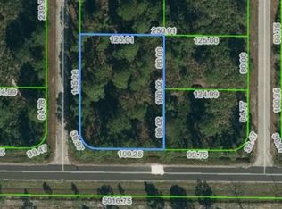 364 Otter Ave NW, Lake Placid, FL 33852