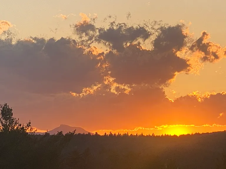 This is the view from the backyard at sunset