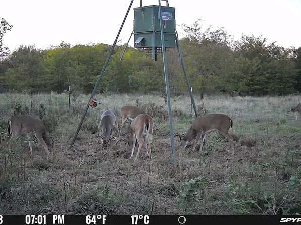 Tbd8 County Rd #421, De Leon, TX 76444