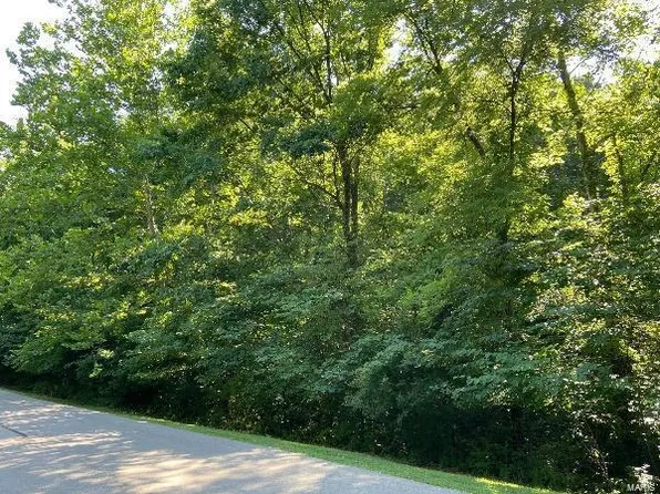 19261 Saint Albans Forest Ln, Glencoe, MO 63038