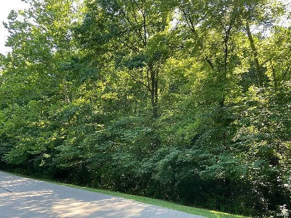 19261 Saint Albans Forest Ln photo 1