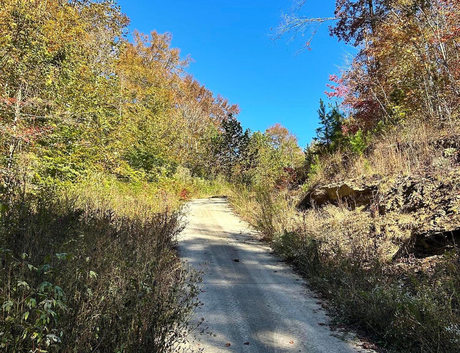 Brimstone Rd, Robbins, TN 37852 MLS 1243566 Zillow