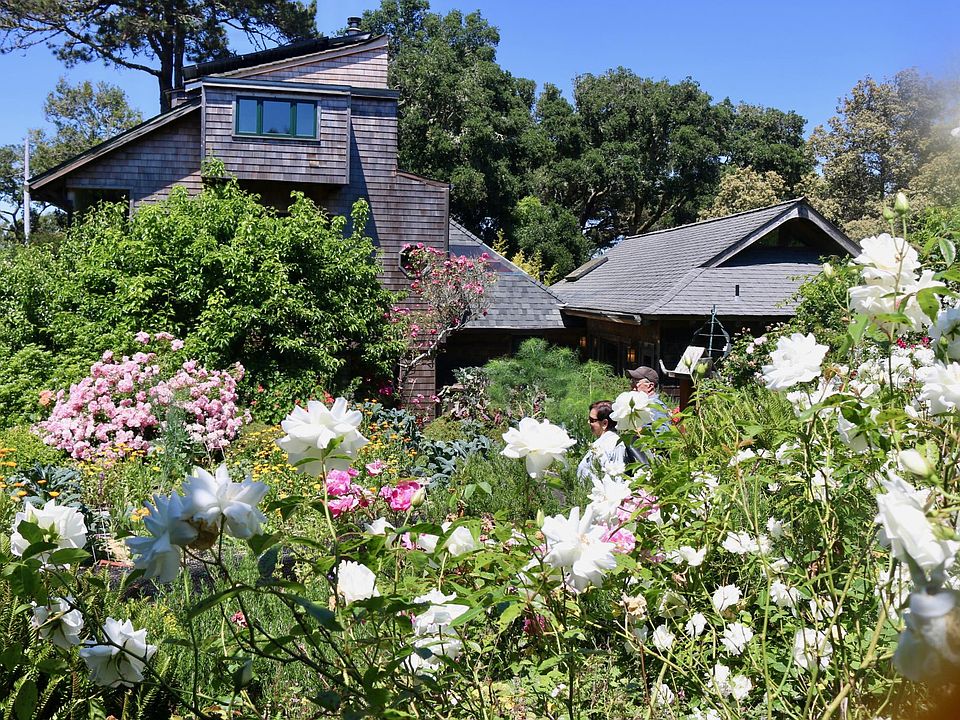 Welcome to the back garden of the Eco-Refuge _ lots of vegetables, fruit trees, flowers. Please explore the beauty of our place!