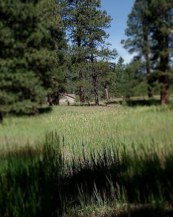 View of building site