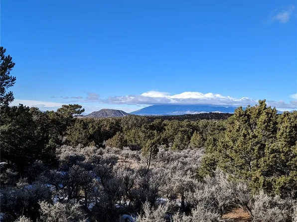 2323 Yablon Road, Fort Garland, CO 81133