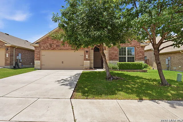 309 Albarella — Photo 3