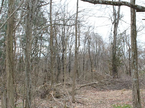 2nd image of 8810 State Highway 1247
