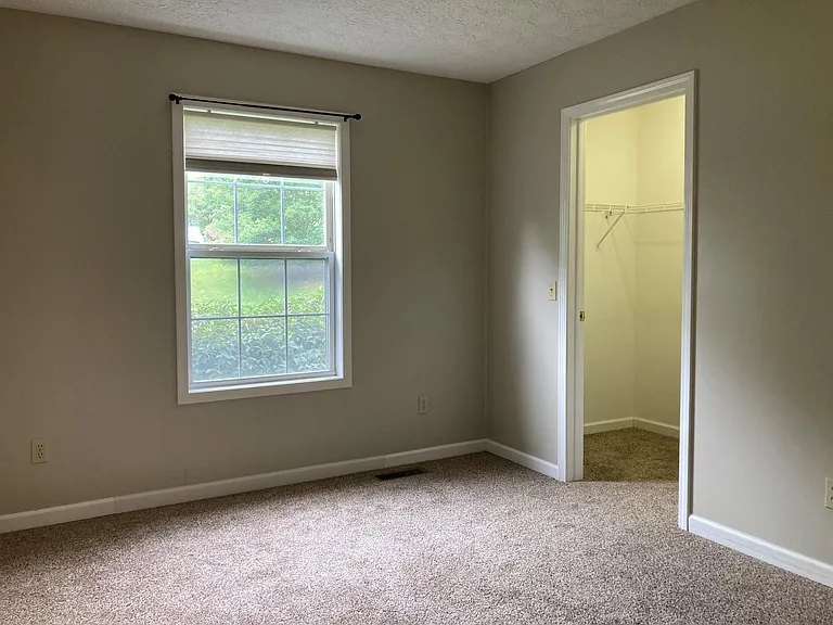 206 Spring Vine Dr — Photo 11