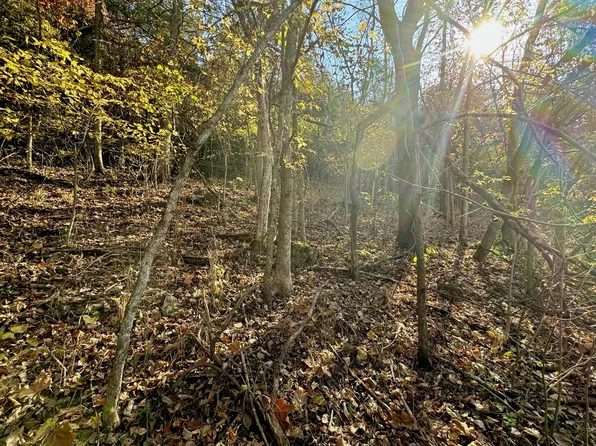 000 Jj Highway, Thornfield, MO 65762