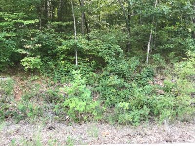 Lot 214 Bayview Drive, Hollister, MO, 65672