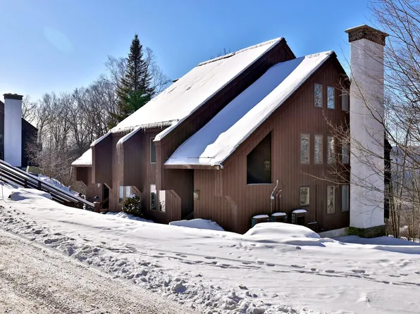 145 Blueberry Ledge Ridge #49, Plymouth, VT 05056