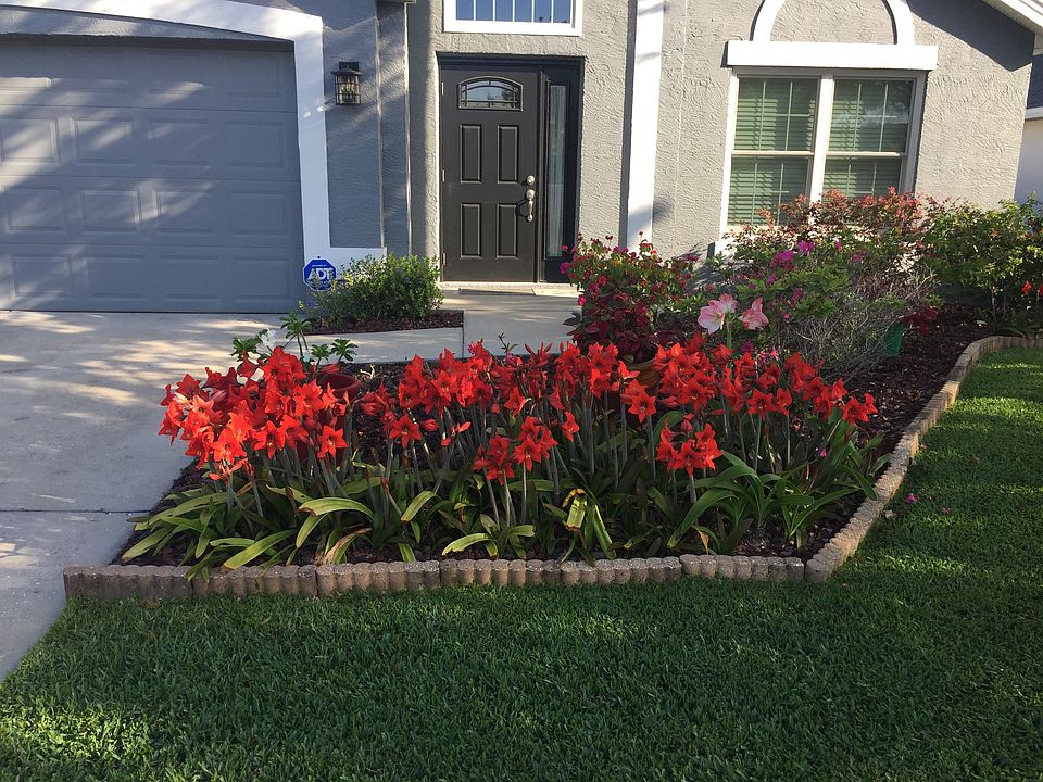 1st image of 5029 Corto Dr