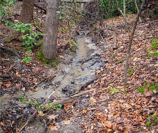 3rd image of 0 Harrington Lane