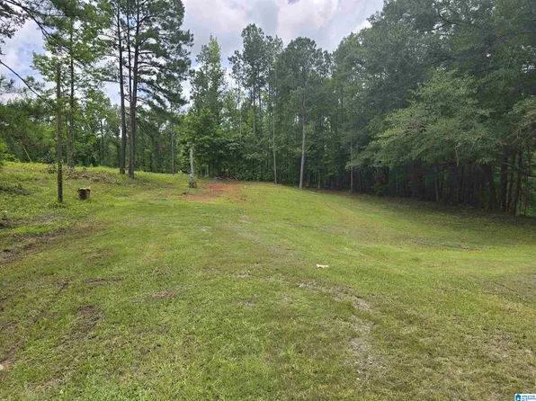 1 State Highway 22 #1, Rockford, AL 35136