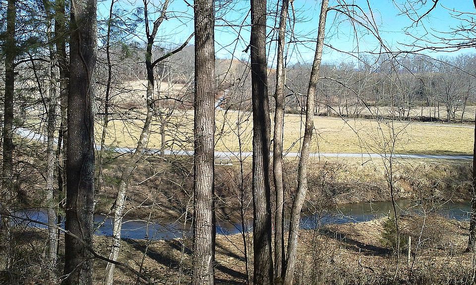 View frm potential home site