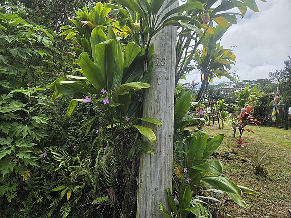 5th image of 13-3550 Pomaikai St Lot 64