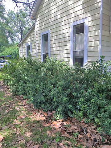 2nd image of 407 E 4th St