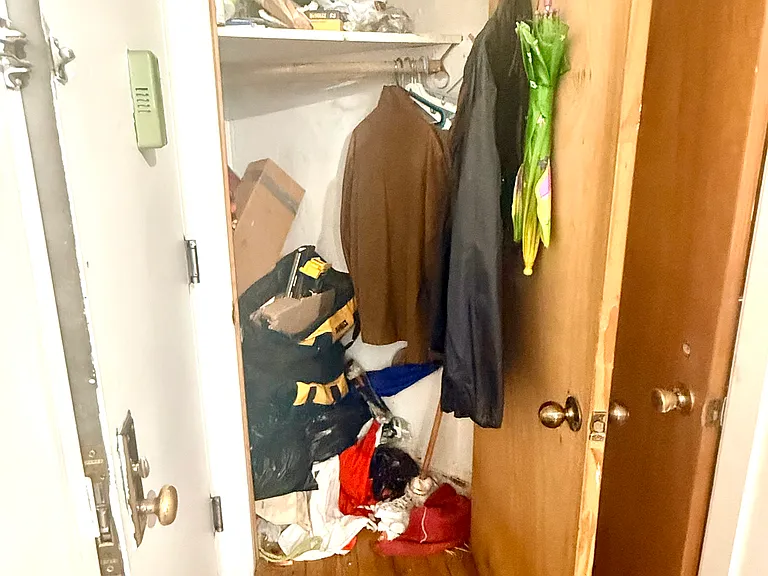239 Troy Ave #1 — Photo 4
