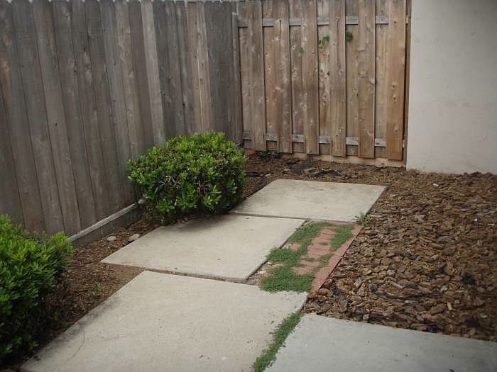 2nd image of 1304 Felspar St APT B