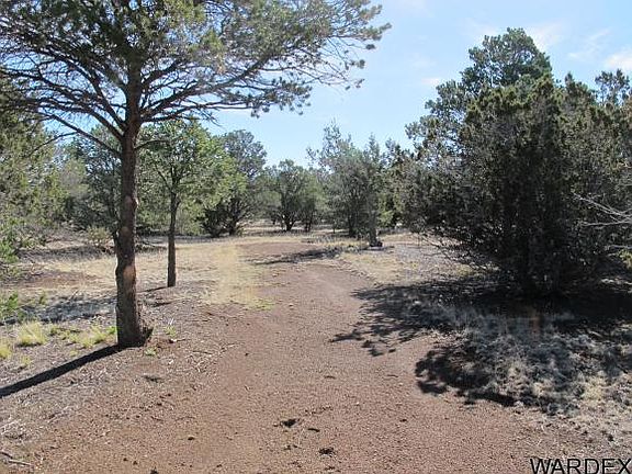 3rd image of 7155 N Audrey Way