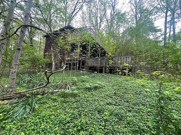 5th image of 12593 Trillium Way