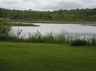 1461 Riverview Ln, Indian River, MI 49749