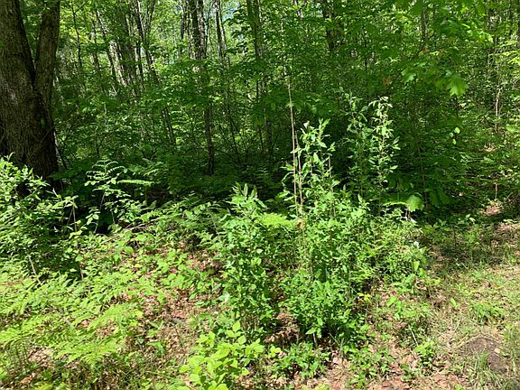 4th image of 0 Us Highway 10 Lot 3