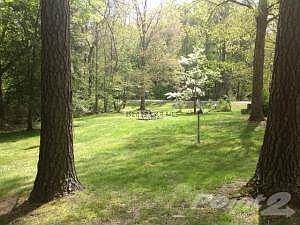 Lawn