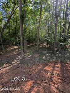 530 Fletcher Farms Way, Carthage, NC, 28327