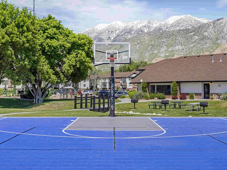 Basketball Court