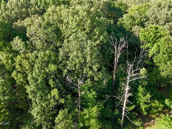 McDonald Rd, Madison, MS 39110