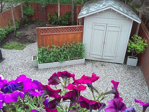 back yard A