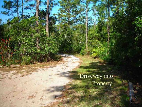 Private driveway to house