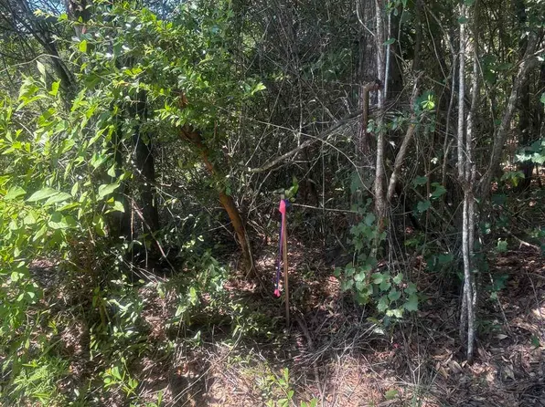 3 Bryant Bridge Cut Off Off, Holt, FL 32564