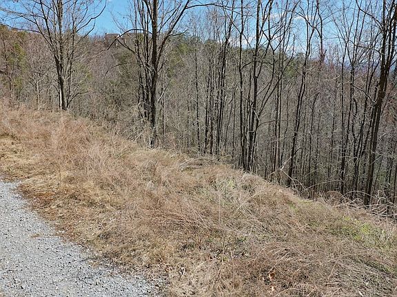 4th image of 157 Summit Trails Dr Lot 157