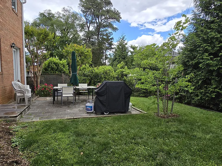 Back yard / stone patio