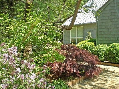 1st image of 5 Huckleberry Ln