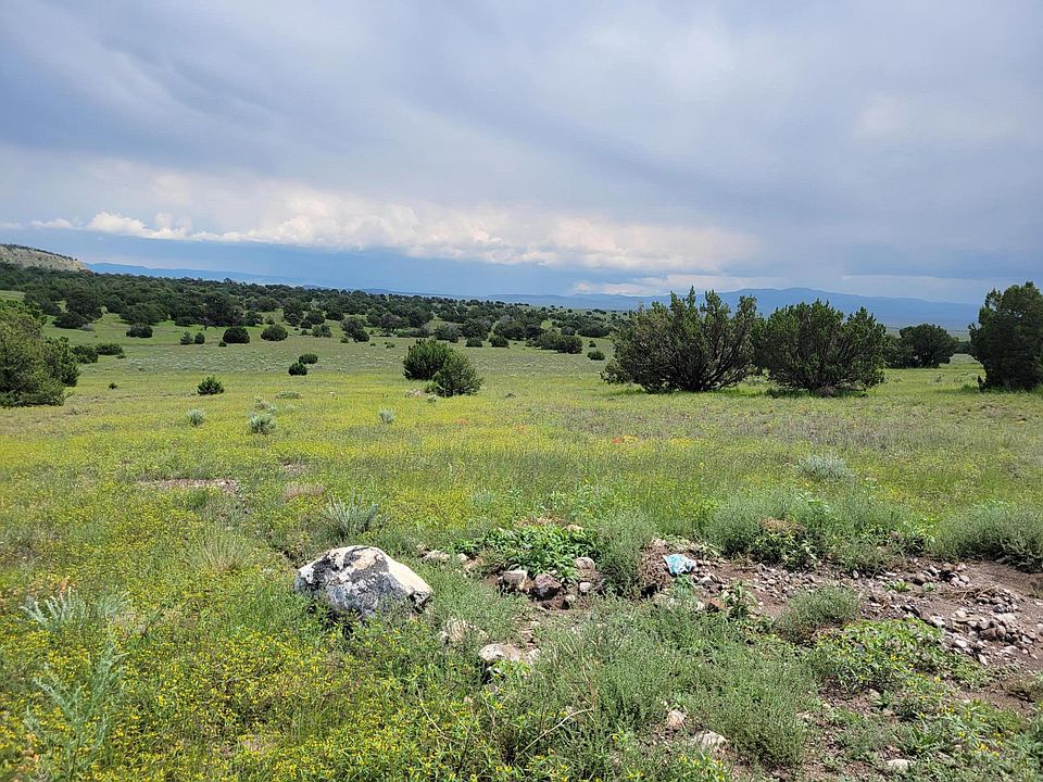 2nd image of Southern Trl