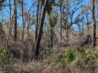 NW Fox Run Trl LOT 107, Mayo, FL 32066