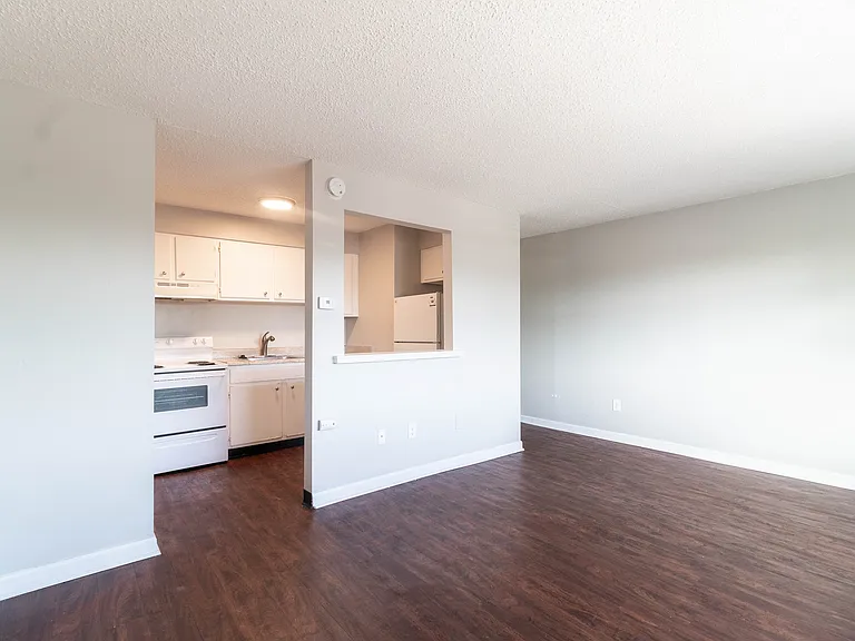 Bright open-plan apartment featuring a cozy kitchen and spacious living area with sleek hardwood flooring.