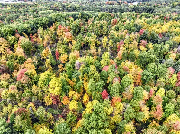 Case Rd, Bellevue, MI 49021