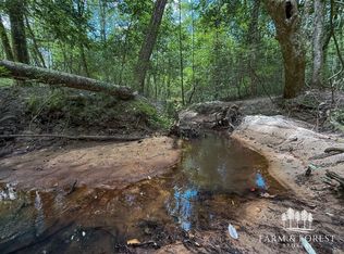 0 County Road 207, Jack, AL 36346